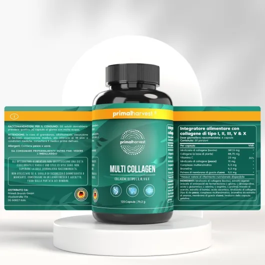 61yoXQmBGZL._AC_SL1000_