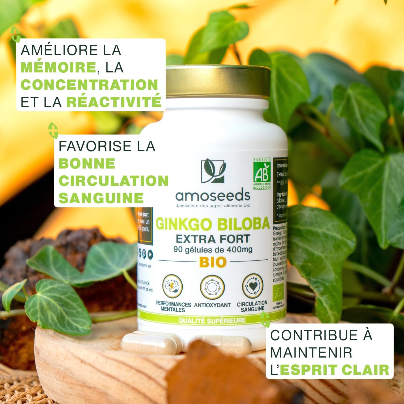 Ginkgo Biloba BIO - Extra Fort, 4560mg par jour - Stimulant cognitif, Mémoire, Circulation Sanguine - 90 Gélules Vegan - Qualité Supérieure 90 unité (Lot de 1)