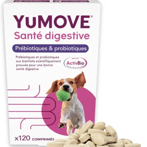 Test YuMOVE Probiotique Chien : le complément digestif qui fait (globalement) le job
