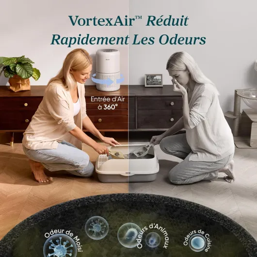 81fLLuusq9L._AC_SL1500_