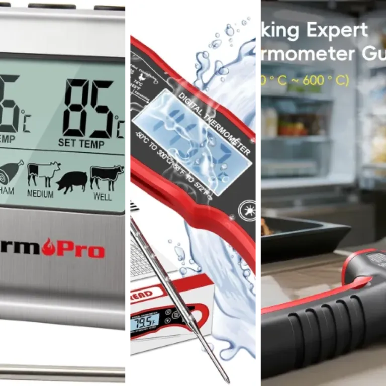Top 6 : meilleurs thermomètre de cuisson (août 2026)