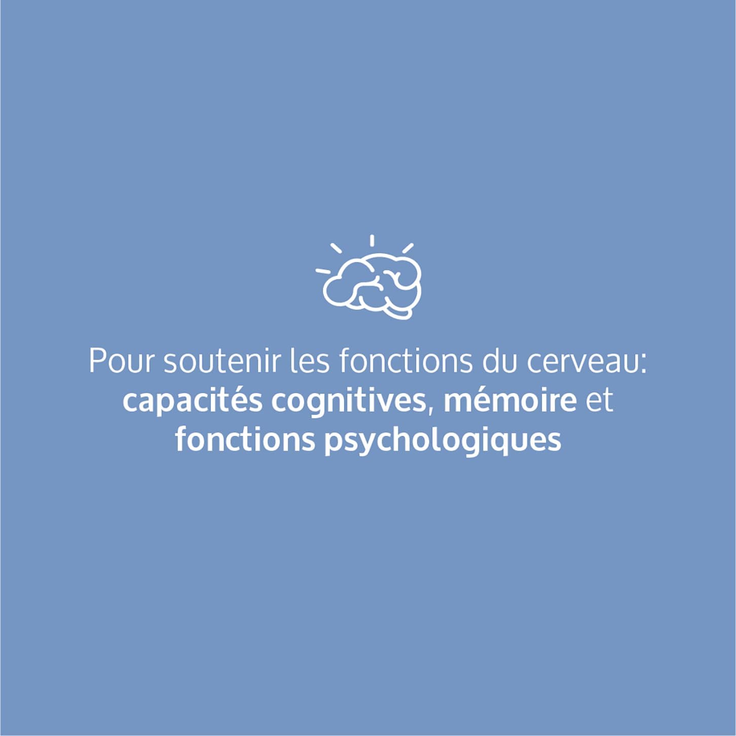 Bacopa Monnieri, Ginkgo Biloba Bio, Magnésium, Vitamine B12, B9, B1- Complément Alimentaire Anti Stress et Focus - Mémoire et Concentration - 90 Gélules Vegan Complement Fabriqué en France