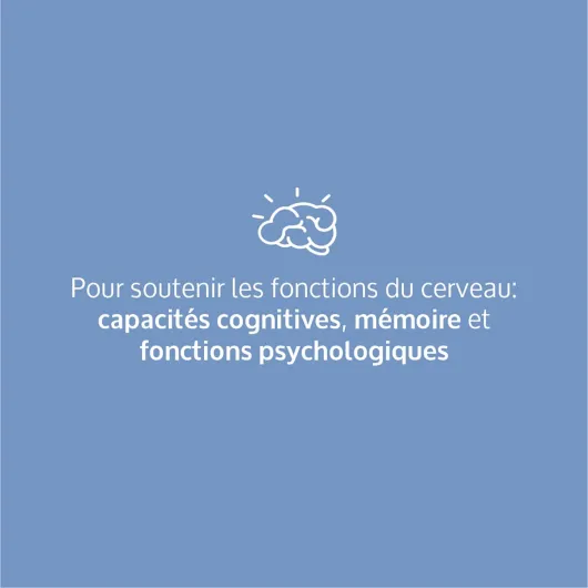 Bacopa Monnieri, Ginkgo Biloba Bio, Magnésium, Vitamine B12, B9, B1- Complément Alimentaire Anti Stress et Focus - Mémoire et Concentration - 90 Gélules Vegan Complement Fabriqué en France