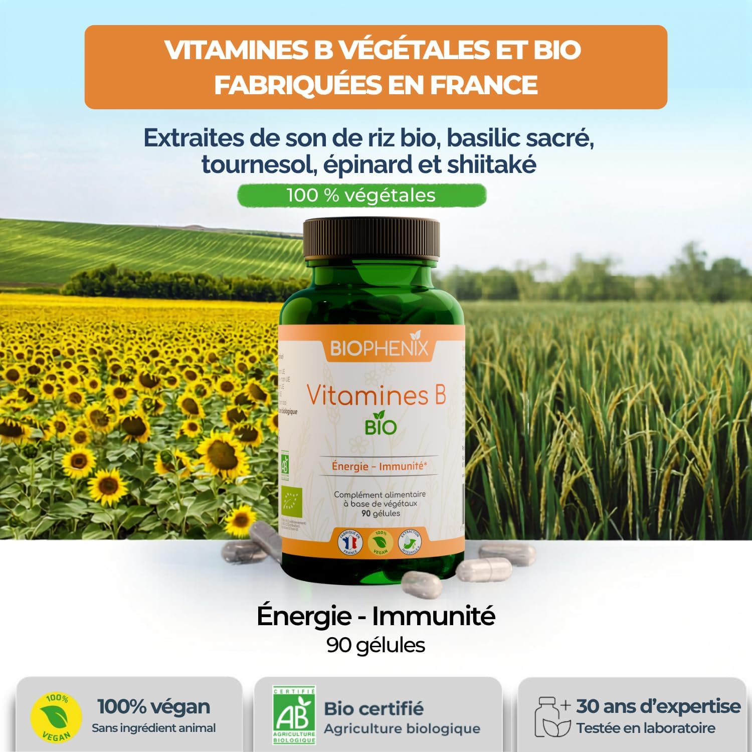 Vitamines B Bio 90 Gélules - 100% Naturel à Base de Végétaux - Énergie, Vitalité & Système Nerveux - Vitamines B1, B2, B3, B5, B6, B8, B9 et B12 - Fabriqué en France - Vegan 90 unité (Lot de 1)