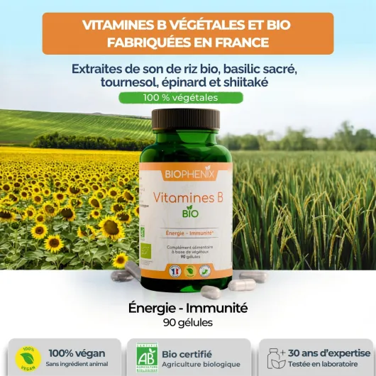 Vitamines B Bio 90 Gélules - 100% Naturel à Base de Végétaux - Énergie, Vitalité & Système Nerveux - Vitamines B1, B2, B3, B5, B6, B8, B9 et B12 - Fabriqué en France - Vegan 90 unité (Lot de 1)