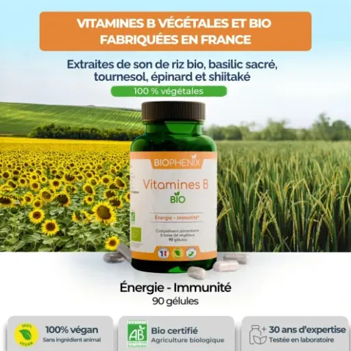 Test Biophénix Vitamines B Bio : des vitamines propres, efficaces… mais qui piquent un peu au portefeuille