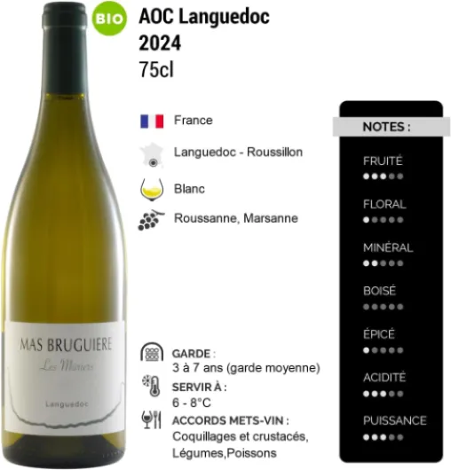 Languedoc Les Mûriers - Blanc 2024 - Mas Bruguière - Vin Blanc du Languedoc - Roussillon (3x75cl) BIO