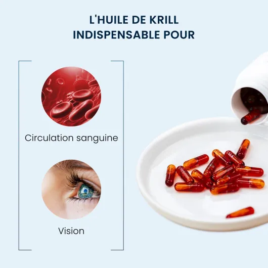 615z4DfDSNL._AC_SL1500_