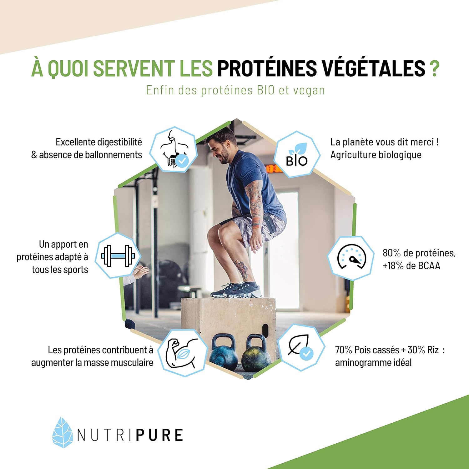 Protéine Vegan Bio - Neutre - Complément Alimentaire Sport & Musculation - Protéine Végétale de Pois et de Riz, BCAA, EAA - 2 KG - Made in France Neutre 2 kg (Lot de 1)