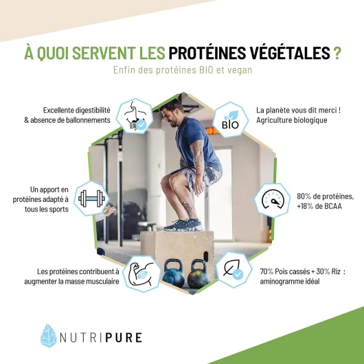 Protéine Vegan Bio - Neutre - Complément Alimentaire Sport & Musculation - Protéine Végétale de Pois et de Riz, BCAA, EAA - 2 KG - Made in France Neutre 2 kg (Lot de 1)