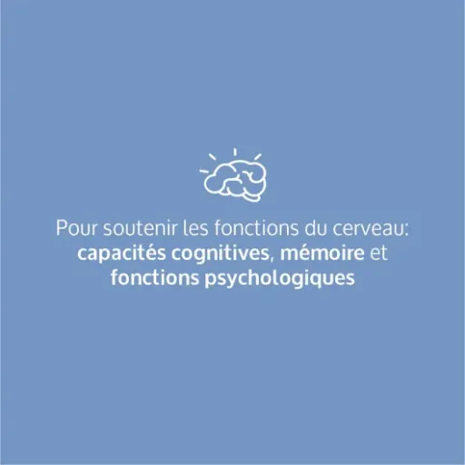 Test Phytocea Re.Mind (Bacopa, Ginkgo, Magnésium) : un petit coup de pouce pour le cerveau, sans miracle
