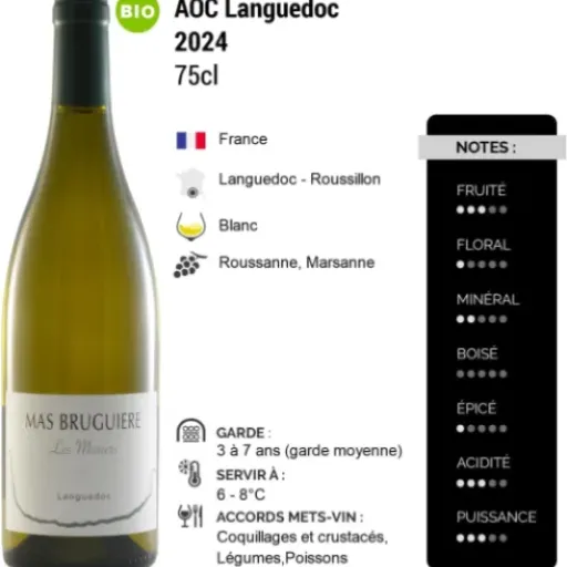 Test Languedoc Les Mûriers Blanc 2024 (Mas Bruguière) : un blanc bio sérieux pour la table plutôt que pour l’apéro facile
