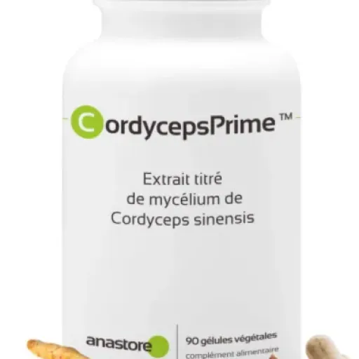 Test CordycepsPrime 3+1 : le champignon qui booste un peu, mais pas pour tout le monde