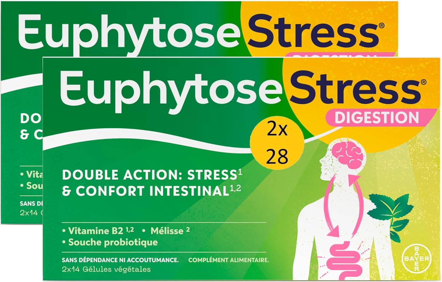 Confort Intestinal Géllules à Avaler, Désagréments du ventre, ballonnements, inconforts intestinaux, transit perturbé, 2 Pack de 28 gélules - 2x14 jours de programme