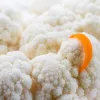 Alimentation et santé mentale : ce que la recherche révèle sur le lien entre assiette et humeur
