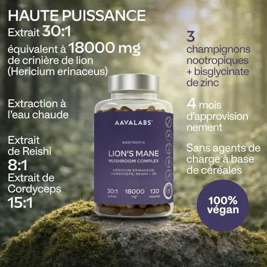Lions Mane 18000mg 30:1 avec Cordyceps Sinensis, Reishi Ganoderma et Zinc - Criniere de Lion Champignon Hericium Erinaceus Nootropique Puissant Memoire et Concentration Mushroom Complex - 120 Gelules