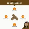 Test Cordyceps Nutrimea : un petit coup de pouce sur l’énergie, sans miracle