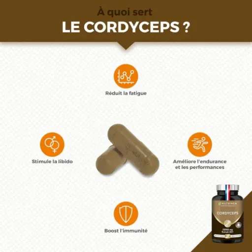 Test Cordyceps Nutrimea : un petit coup de pouce sur l’énergie, sans miracle