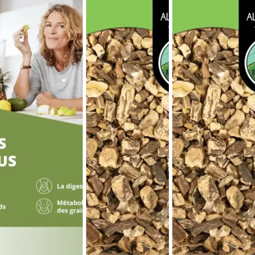 Les meilleurs infusion détox au pissenlit : notre top 6 (juin 2026)