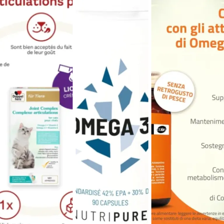 Top 5 des meilleurs oméga-3 EPA DHA (2026)