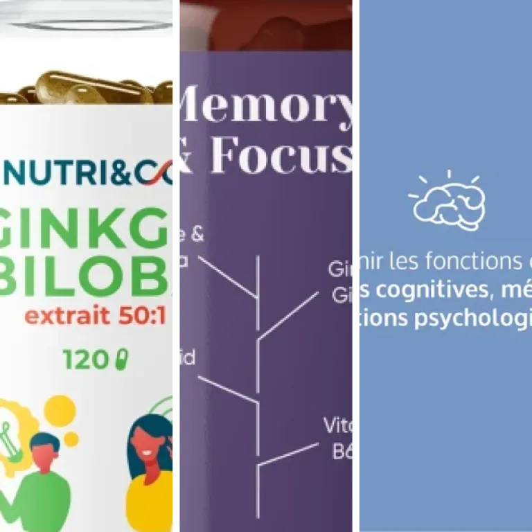 Guide d'achat : les 6 meilleurs extrait de Ginkgo Biloba (2026)