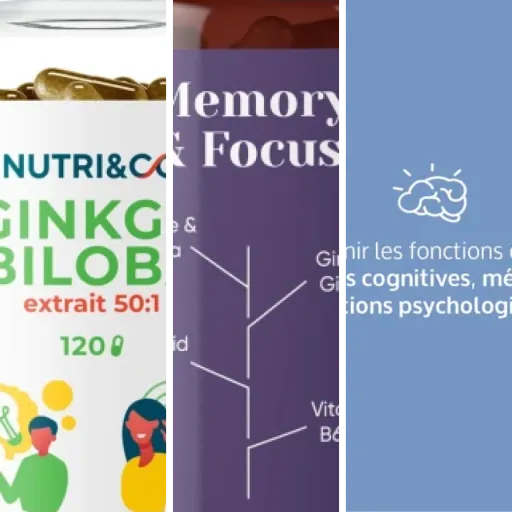 Guide d'achat : les 6 meilleurs extrait de Ginkgo Biloba (juin 2026)