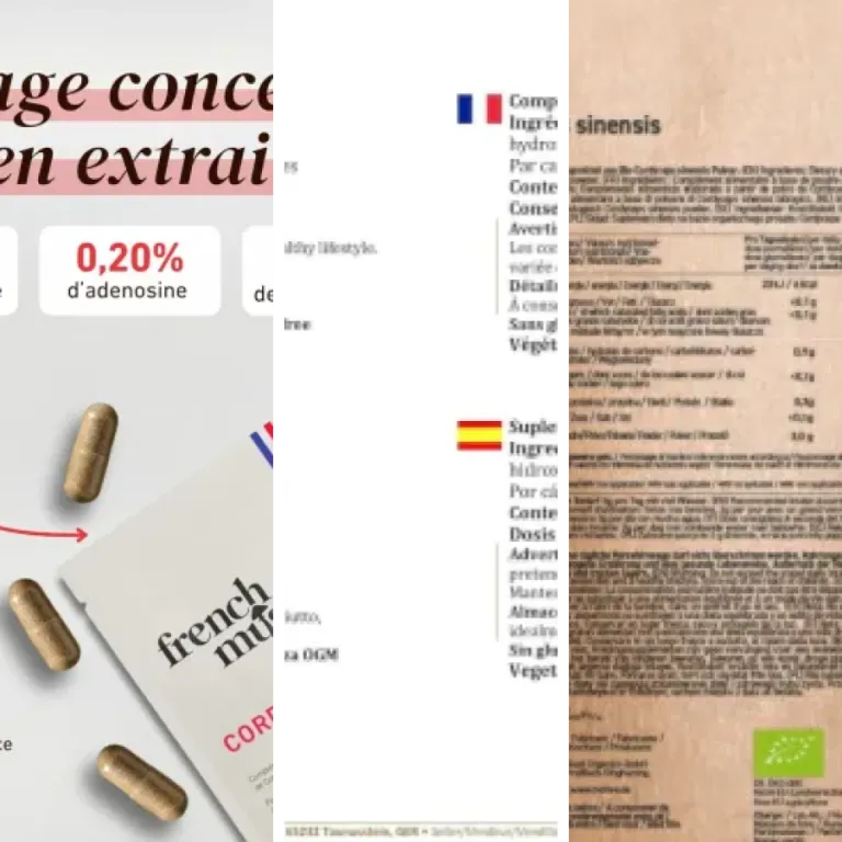 Les meilleurs extrait de Cordyceps : notre top 6 (2026)