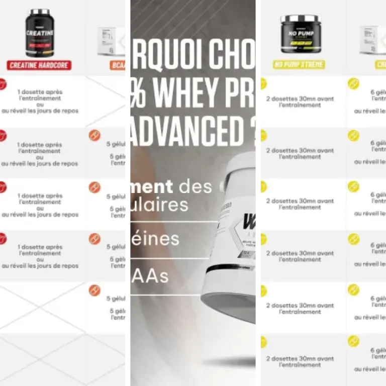 Comparatif des 5 meilleurs programmes nutrition premium (2026)