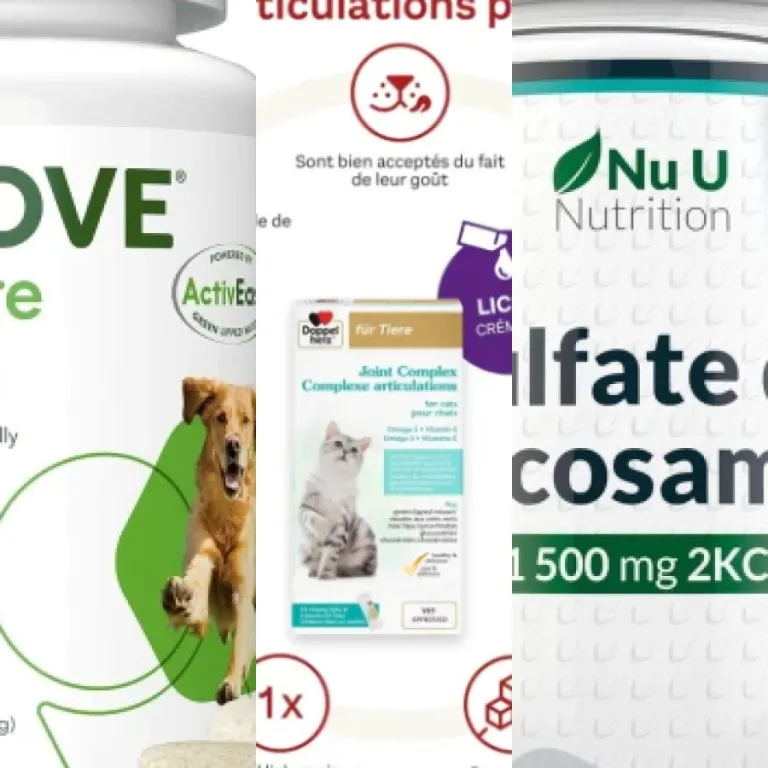 Les 5 meilleurs glucosamine (2026)