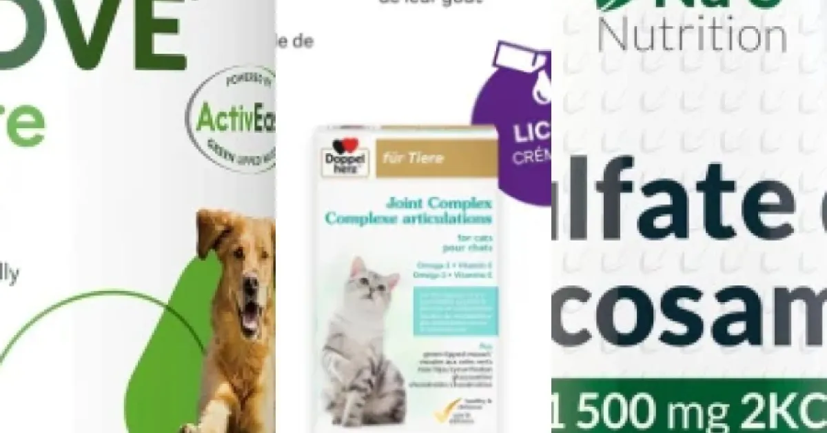 Les 5 meilleurs glucosamine (juin 2026)
