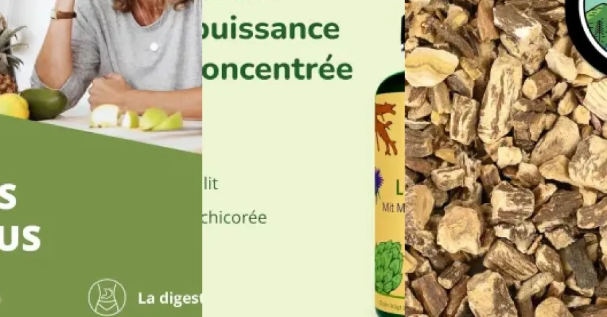 Top 6 des meilleurs extrait de Racine de Pissenlit (juin 2026)