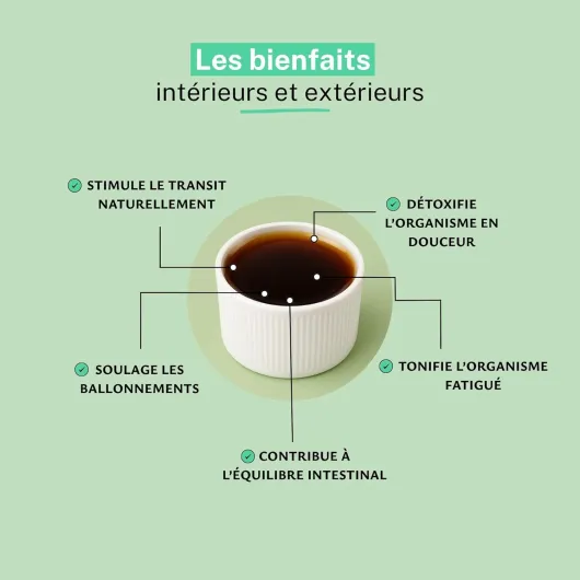 Elixir du suédois Maria Treben 500ml - Recette originale de Maria Treben - Fabrication Française 500 ml (Lot de 1)