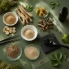Adaptogènes : ashwagandha, rhodiola, shilajit - la science derrière l'engouement de 2026