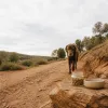 Complément alimentaire pour les articulations du chien : comment protéger sa mobilité au quotidien
