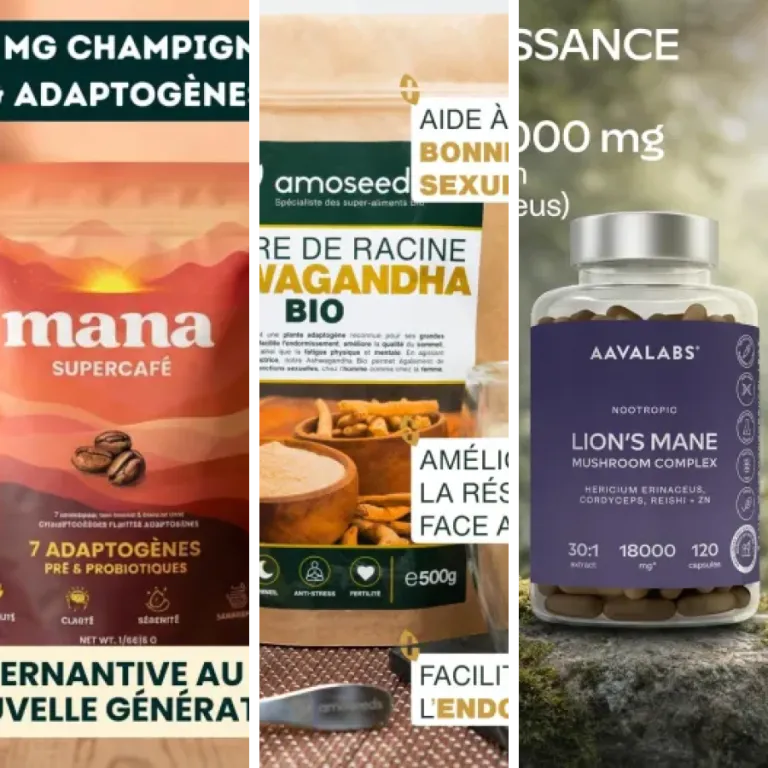 Notre sélection des 6 meilleurs adaptogènes (2026)