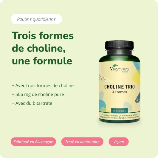CHOLINE Vegavero® - Avec 3 Formes Actives : L-Choline Bitartrate, CDP Citicoline et Phosphatidylcholine - Sans Additifs - Fonction Hépatique - 90 Gélules - VEGAN