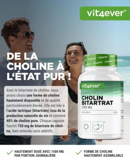 Gélules de Choline – 365 Gélules avec 1500 mg de Bitartrate de Choline par Dose Quotidienne – plus de 6 Mois de Réserve – Foie, Homocystéine & Métabolisme des Graisses – Naturel, Fortement Dosé, Véga 365 unité (Lot de 1)