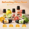 Test Aeshory Kit Huiles Essentielles Agrumes : un coffret pas cher qui fait le job pour le diffuseur