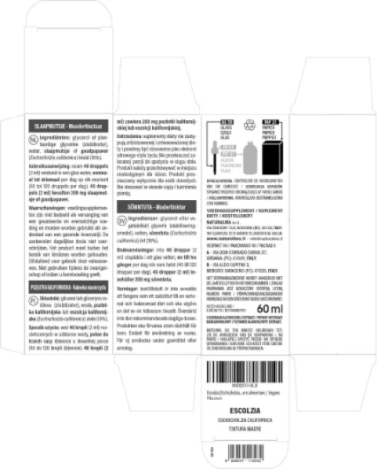81tfTLM83WL._AC_SL1500_