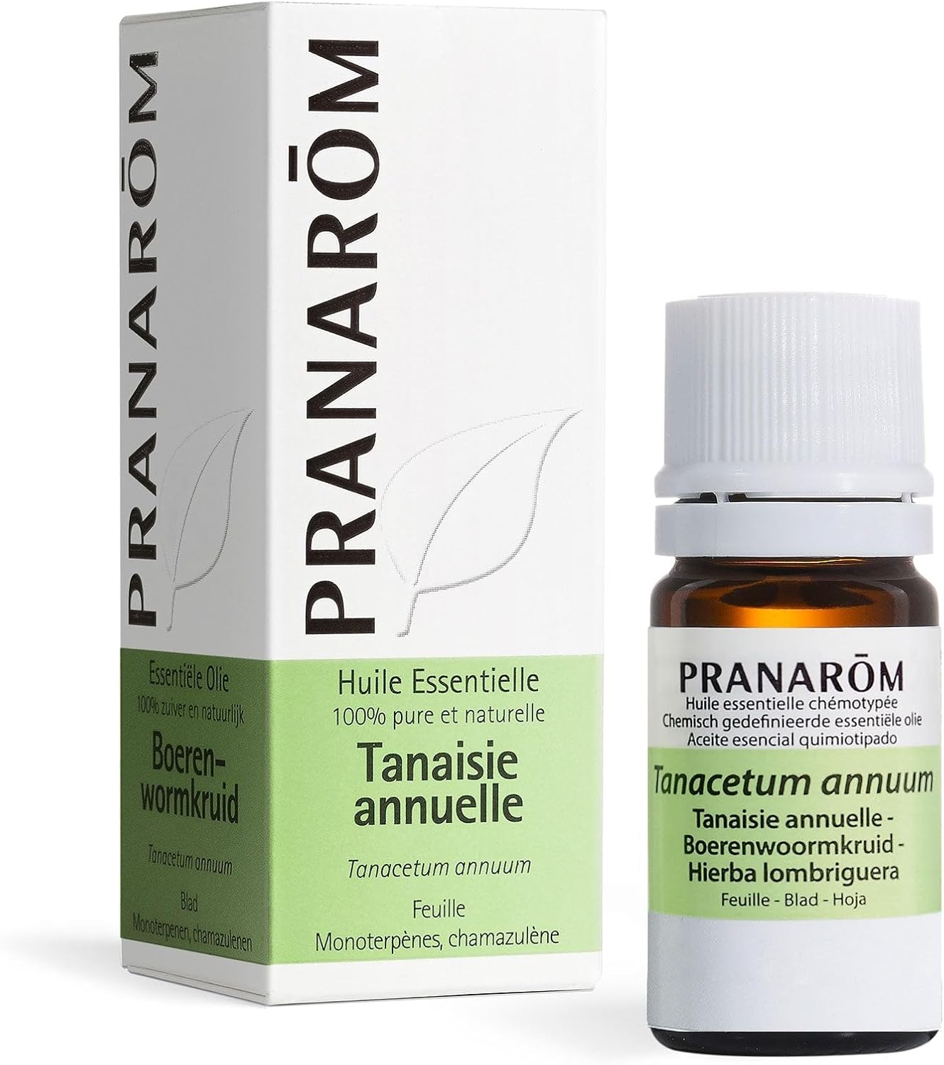 Huile Essentielle Tanaisie Annuelle -Tanacetum annuum -Feuille - HECT- 5 ml